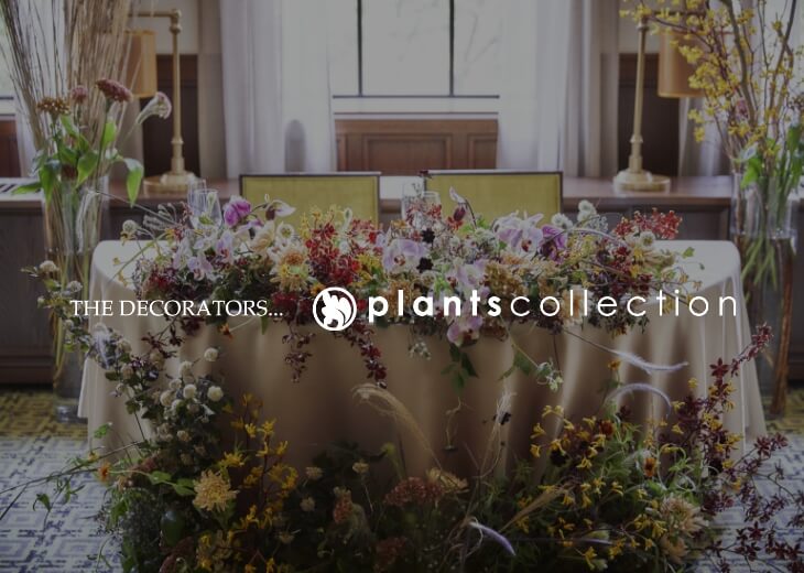 plants collection