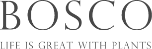 bosco